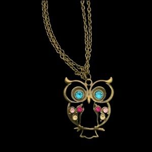 Vintage style owl sweater put overhead necklace.